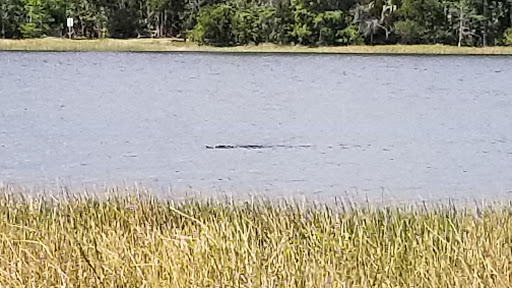 Nature Preserve «Grassy Waters Preserve», reviews and photos, 8264 Northlake Blvd, West Palm Beach, FL 33412, USA