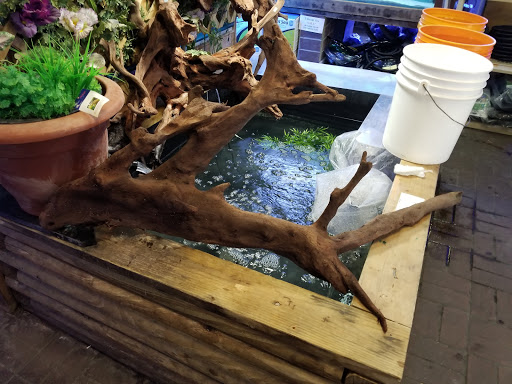 Aquarium Shop «Exotic Aquariums», reviews and photos, 7399 Bird Rd, Miami, FL 33155, USA