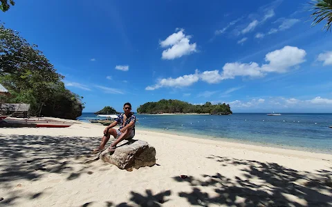 Ave Maria Island image