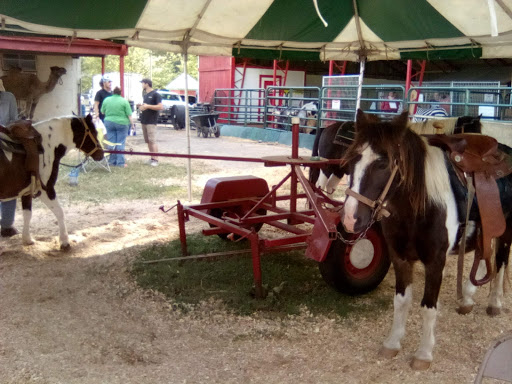 Event Venue «Winston Salem Fairgrounds», reviews and photos, 421 27th St NW, Winston-Salem, NC 27105, USA