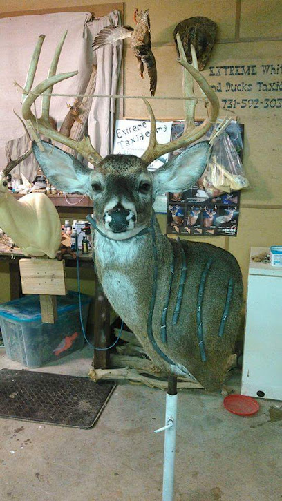 Extreme taxidermy by Steven Smith