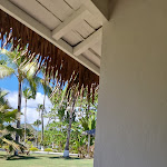 Photo n°2 de l'avis de Valerio.l fait le 07/09/2023 à 07:00 sur le  Ristorante Oasi del porto à Livorno