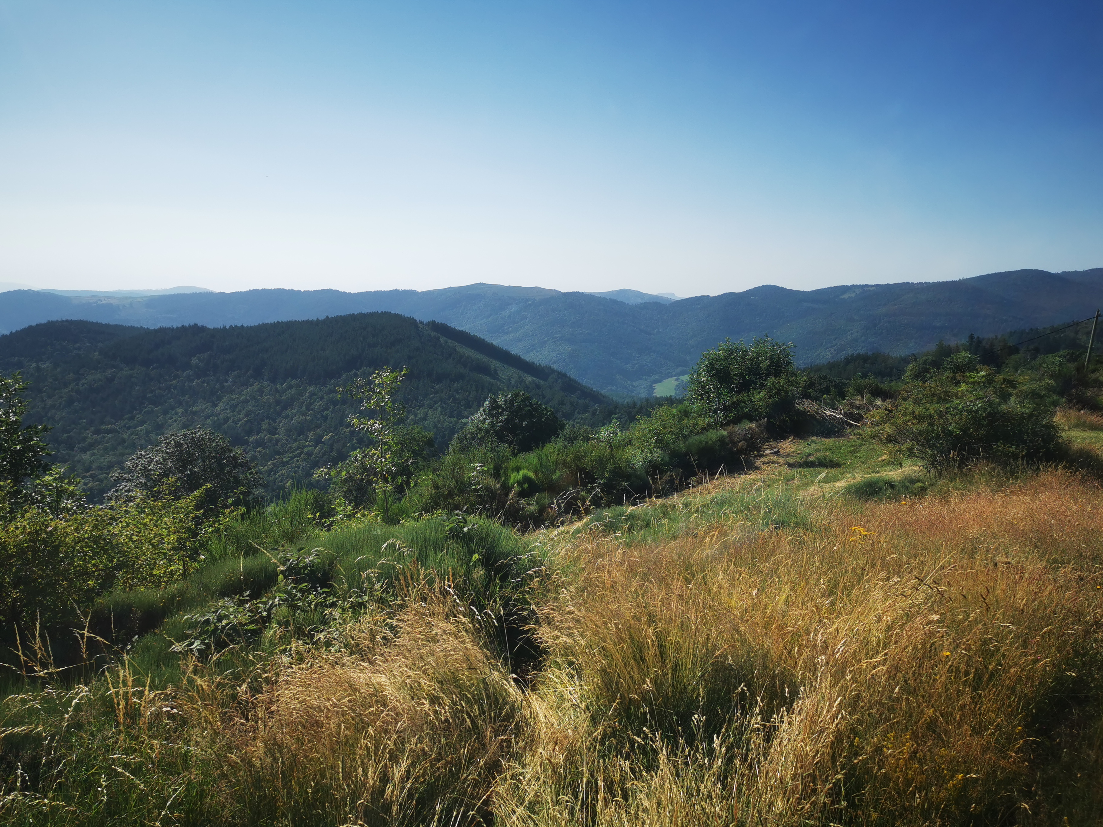 Photo n° 46 de l'avis de Seb. fait le 14/07/2023 à 04:55