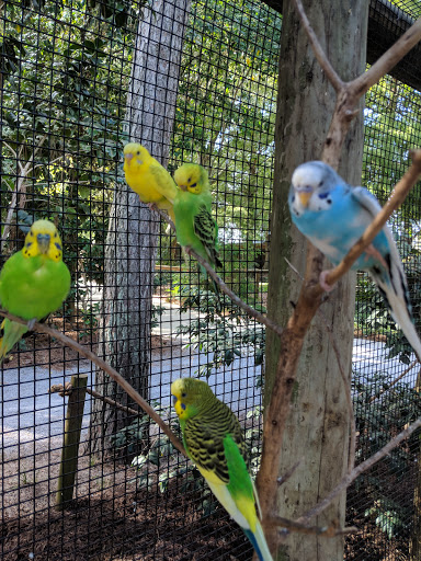 Zoo «Gulf Breeze Zoo», reviews and photos, 5701 Gulf Breeze Pkwy, Gulf Breeze, FL 32563, USA