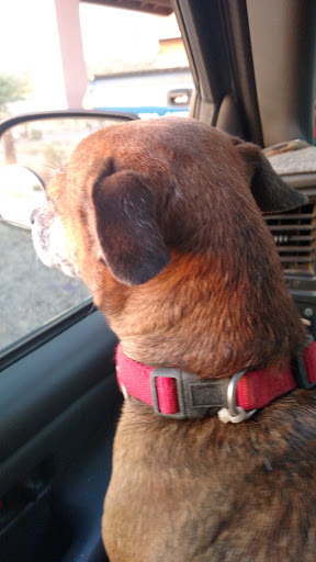 National Park «Casa Grande Ruins National Monument», reviews and photos, 1100 W Ruins Dr, Coolidge, AZ 85128, USA