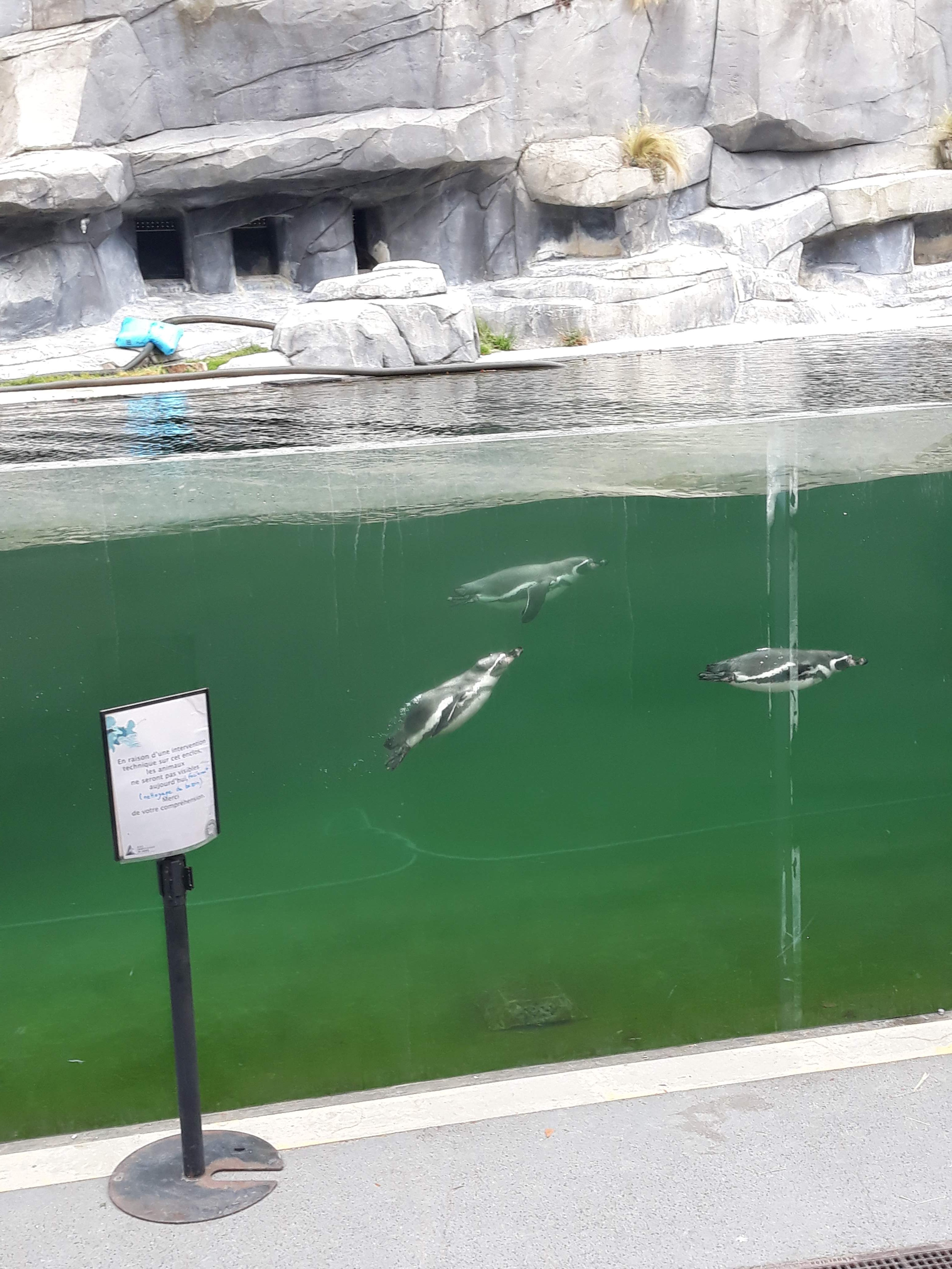 Photo n° 37 de l'avis de Ludo.a fait le 30/08/2021 à 17:15