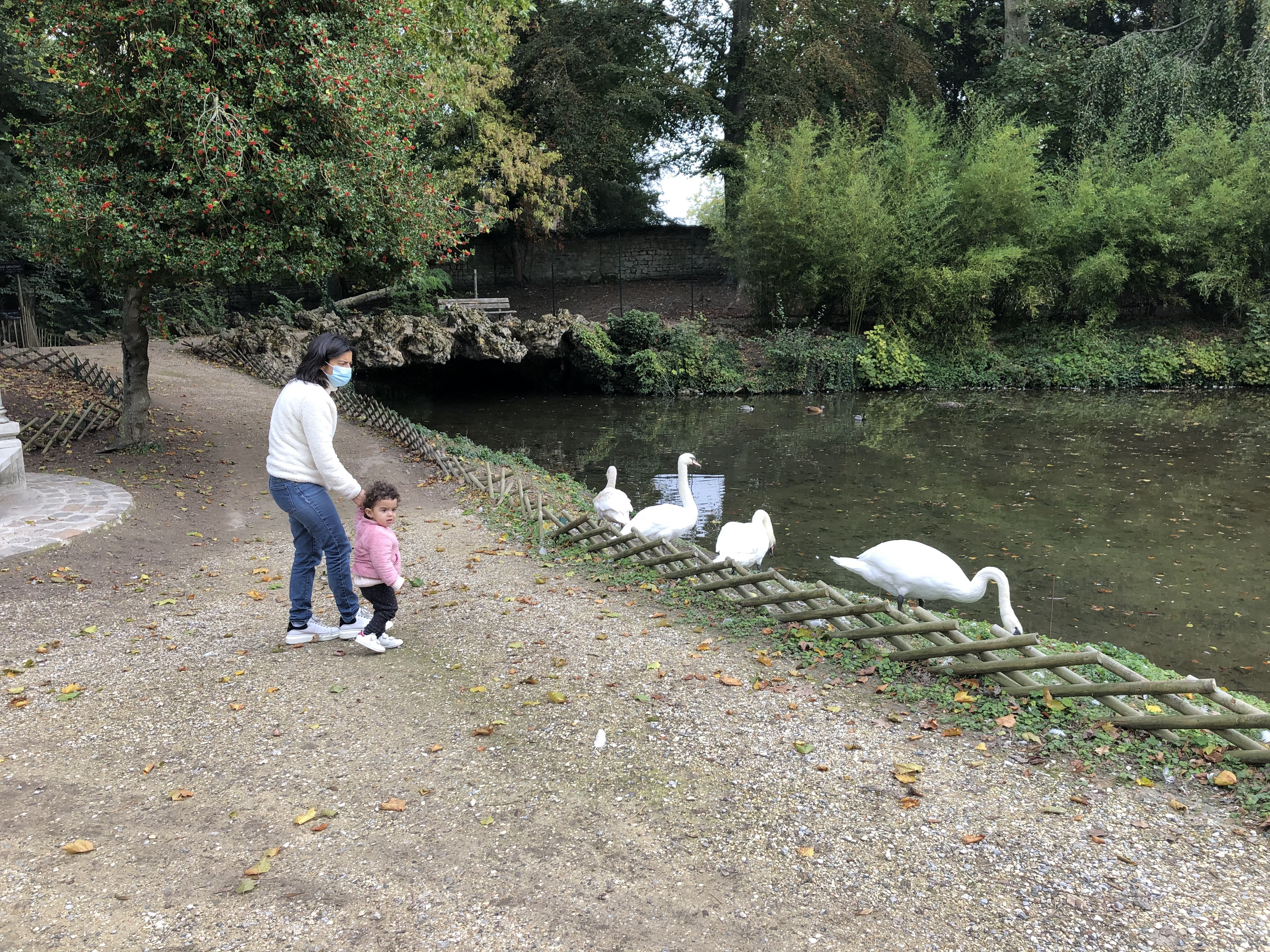 Photo n° 3 de l'avis de Olivier.k fait le 18/10/2020 à 18:11