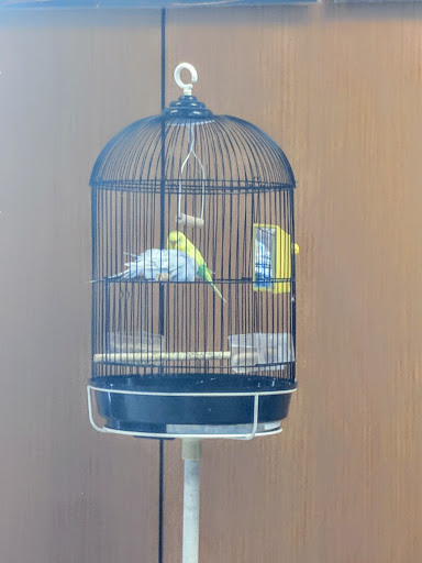 Car Dealer «Bob Smith Toyota», reviews and photos, 3333 Foothill Blvd, La Crescenta, CA 91214, USA