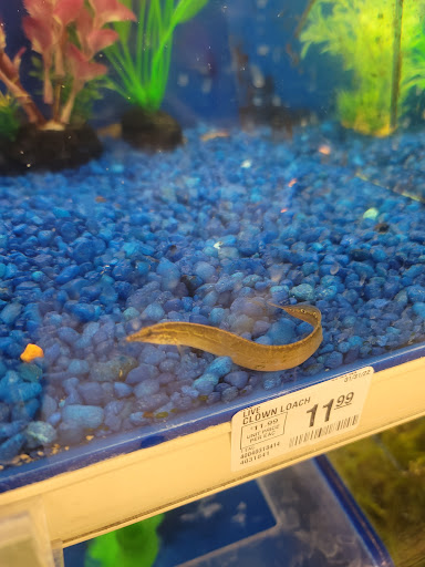 Pet Supply Store «PetSmart», reviews and photos, 160 Alewife Brook Pkwy, Cambridge, MA 02138, USA