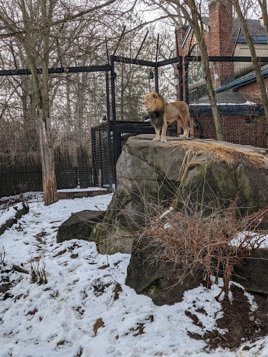 Zoo «Potter Park Zoo», reviews and photos, 1301 S Pennsylvania Ave, Lansing, MI 48912, USA