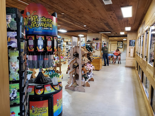 Zoo «Animal World & Snake Farm Zoo», reviews and photos, 5640 Interstate 35 Frontage Rd, New Braunfels, TX 78132, USA