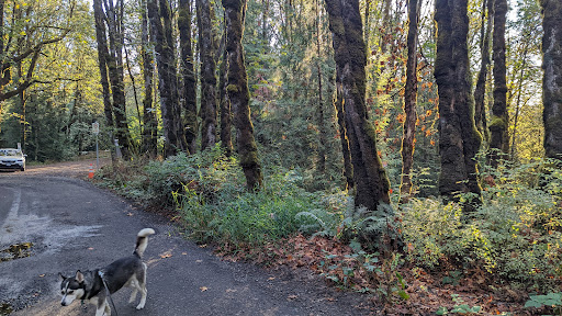 Springville Rd Trailhead into Forest Park