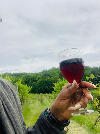 Winery «Falconer Vineyards», reviews and photos, 3572 Old Tyler Rd, Red Wing, MN 55066, USA