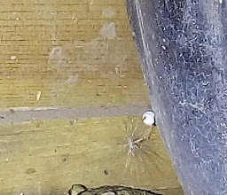 Fraccionamiento Valle del Portal Park photo