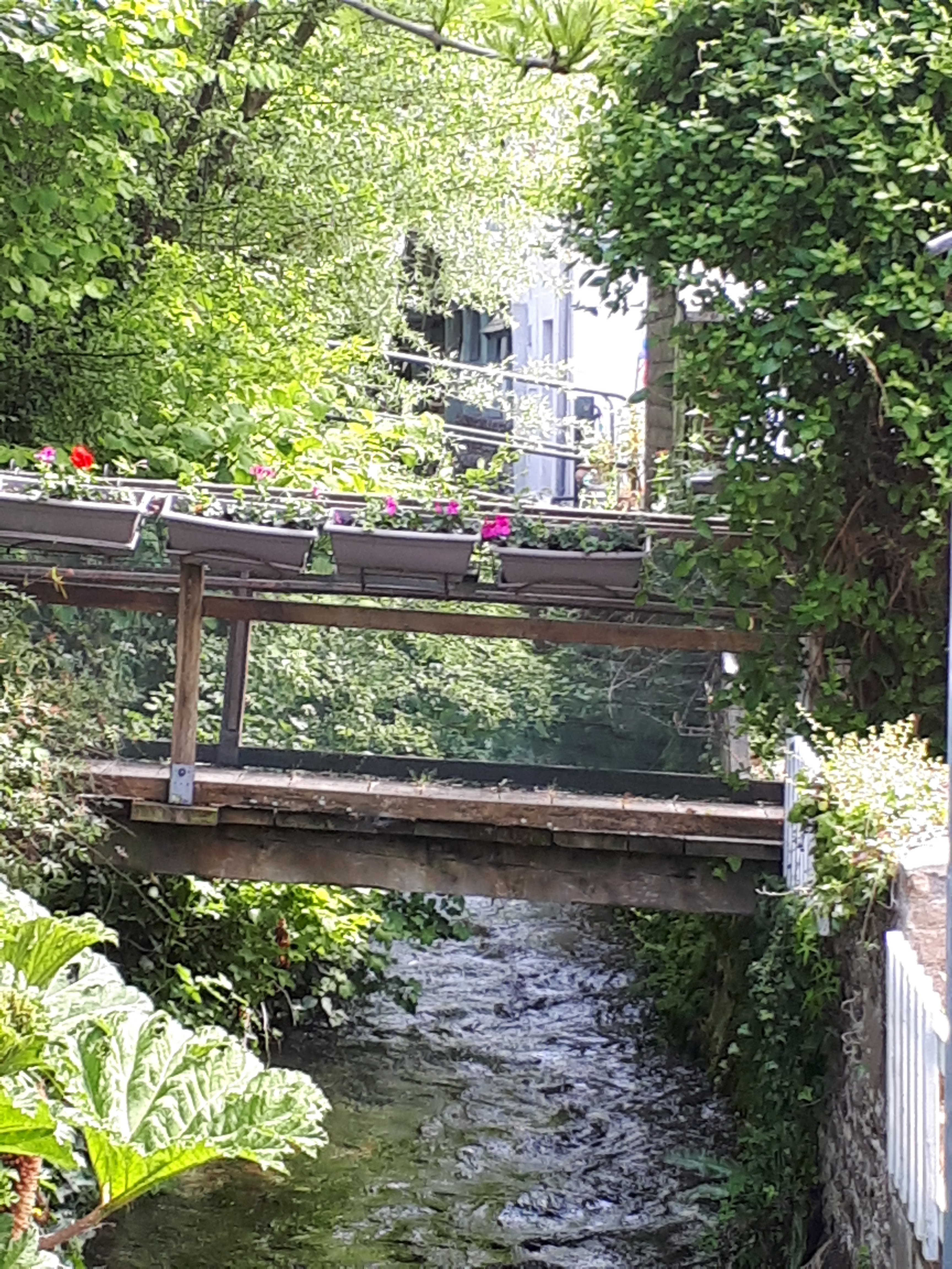 Photo n° 19 de l'avis de Didier.a fait le 11/05/2019 à 13:21