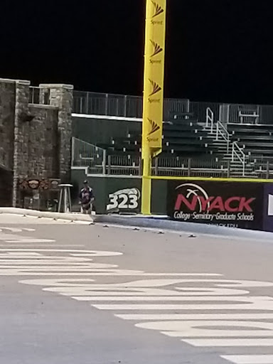 Stadium «Palisades Credit Union Park», reviews and photos