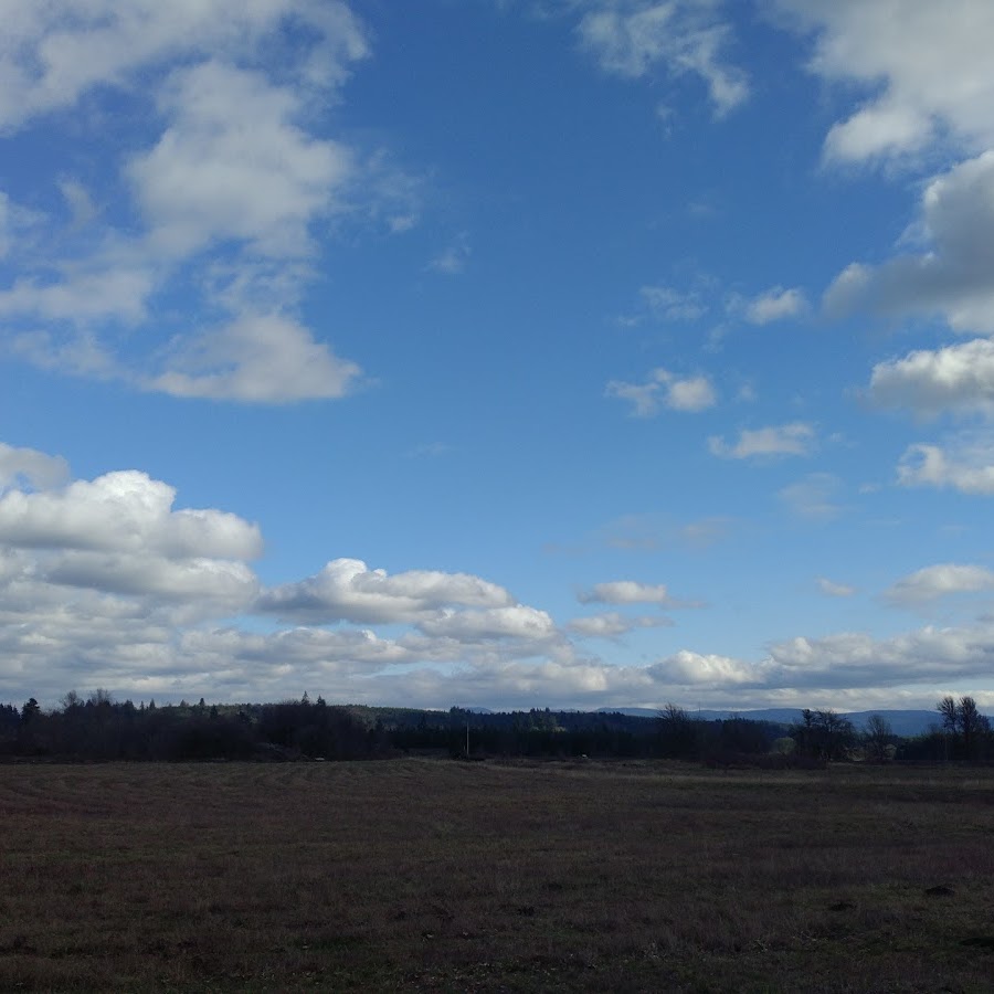 Historic Site of the 1889 Chehalis County Fairgrounds