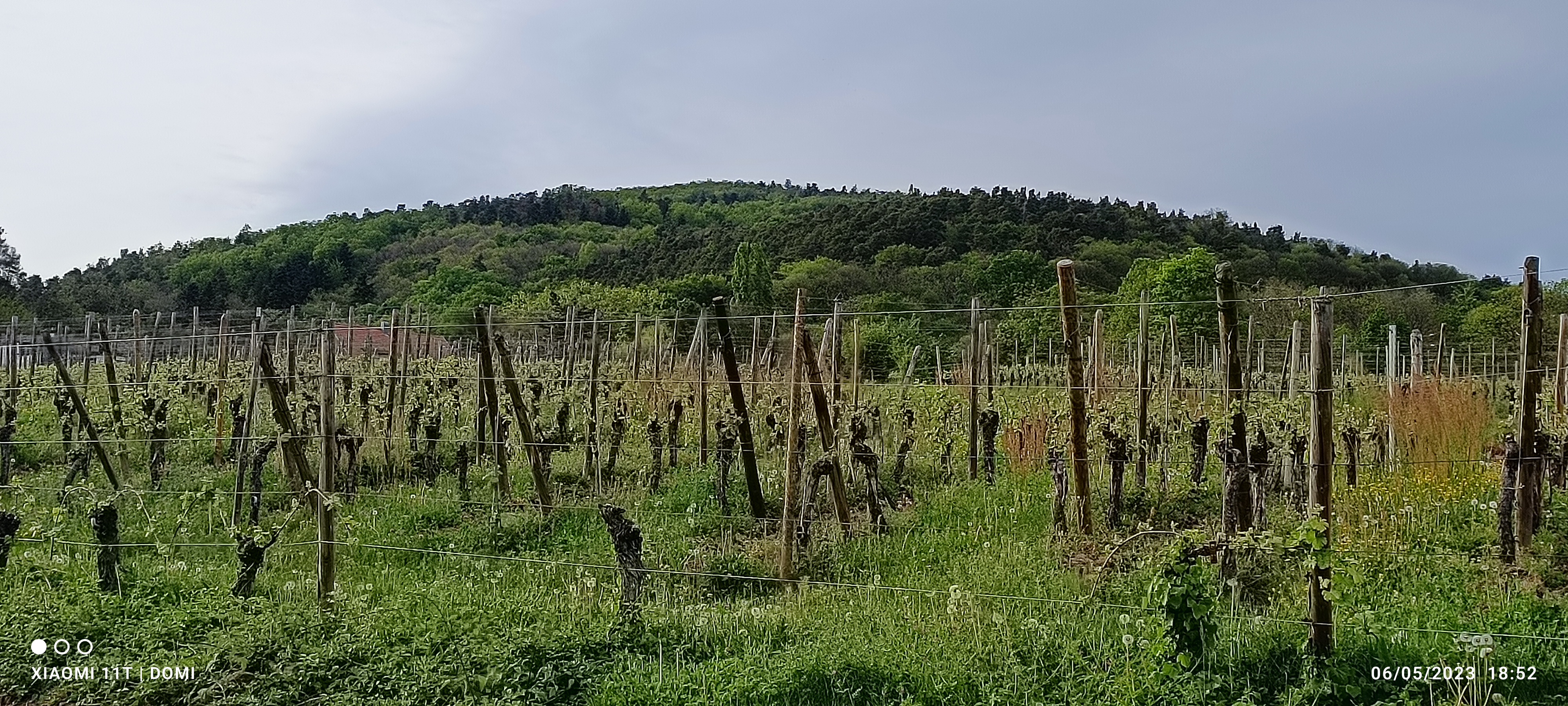 Photo n° 2 de l'avis de Outerleys.o fait le 12/05/2023 à 14:38