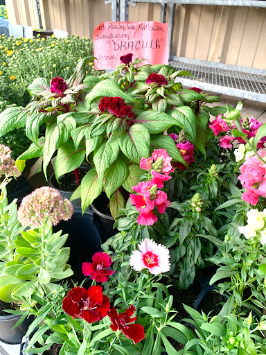 Animal Feed Store «Mid-County Farm & Feed Supply», reviews and photos, 128 S Twin City Hwy, Nederland, TX 77627, USA