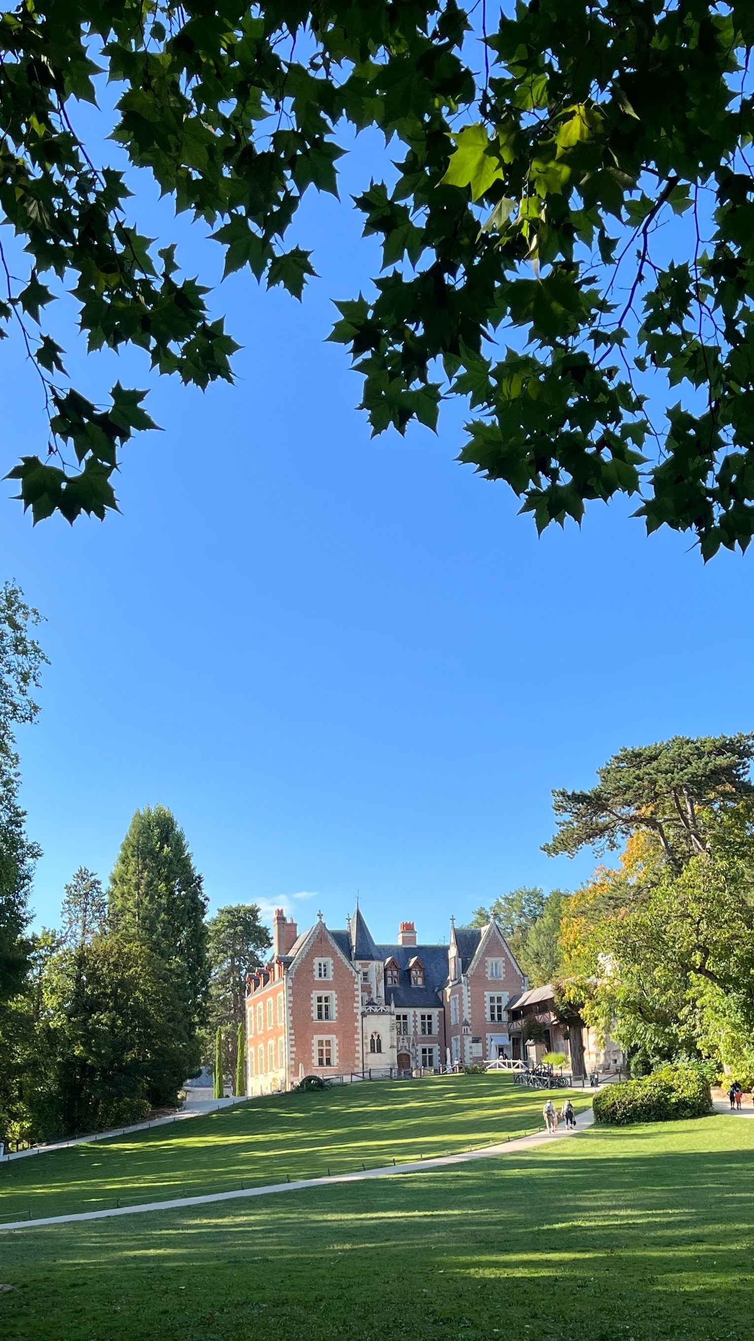 Photo n° 1 de l'avis de BOYER.� fait le 06/09/2023 à 12:39