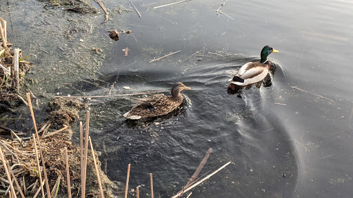 Nature Preserve «Westwood Hills Nature Center», reviews and photos, 8300 W Franklin Ave, St Louis Park, MN 55426, USA