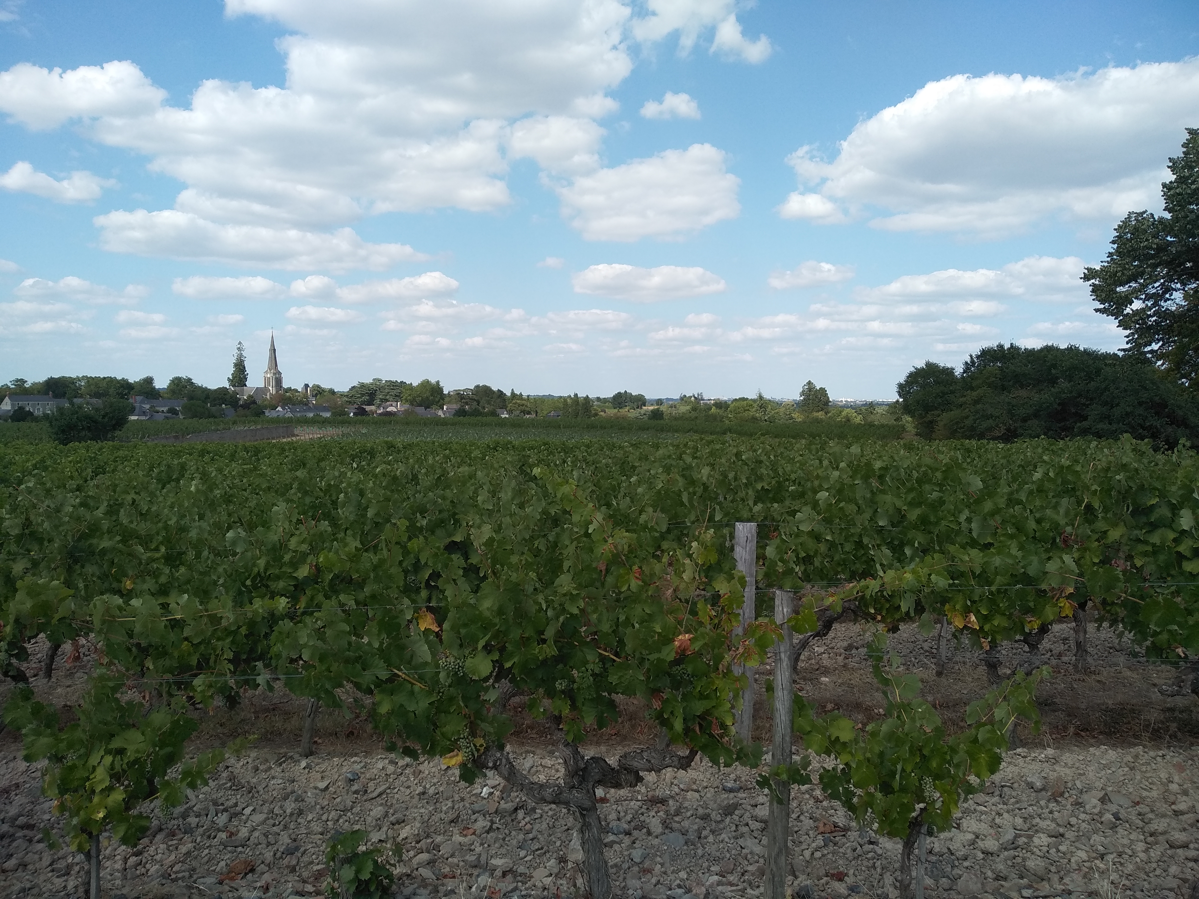 Photo n° 7 de l'avis de BllB. fait le 02/08/2019 à 20:13