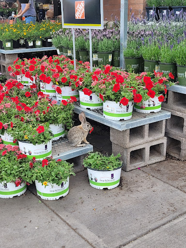 Home Improvement Store «The Home Depot», reviews and photos, 9890 N 90th St, Scottsdale, AZ 85258, USA