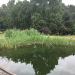 Photo n°2 de l'avis de Christian.r fait le 13/06/2018 à 07:23 sur le  Kur- & Landhotel Borstel-Treff à Dabel