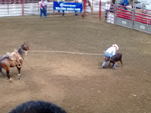 Arena «Freedom Hall», reviews and photos, 937 Phillips Ln, Louisville, KY 40209, USA