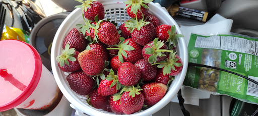 Tourist Attraction «Sugar Hill U-pick Farms», reviews and photos, 3595 Co Rd 59, Verbena, AL 36091, USA