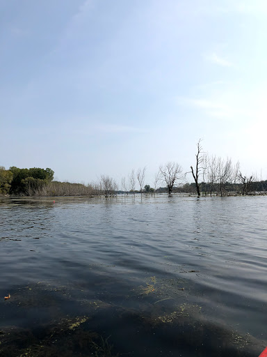 Bicycle Rental Service «Big Lake Outfitters of Saugatuck», reviews and photos, 640 Water St, Saugatuck, MI 49453, USA