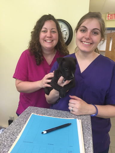 A Breed Apart Animal Hospital image