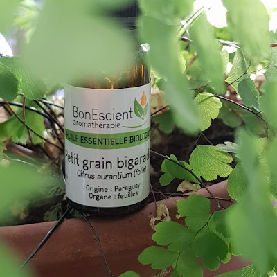 Naturopathe Véronique Le Chelveder à Cuers
