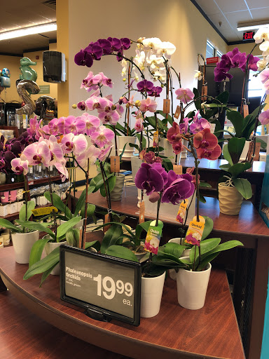 Grocery Store «ACME Markets», reviews and photos, 1260 Springfield Ave, New Providence, NJ 07974, USA