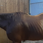 Photo n°2 de l'avis de Alex.l fait le 08/05/2023 à 16:11 sur le  Ristorante pizzicheria Gandula à Cesate