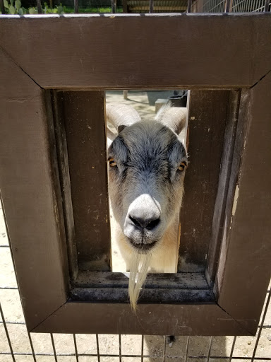 Zoo «Frank Buck Zoo», reviews and photos, 1000 W California St, Gainesville, TX 76240, USA