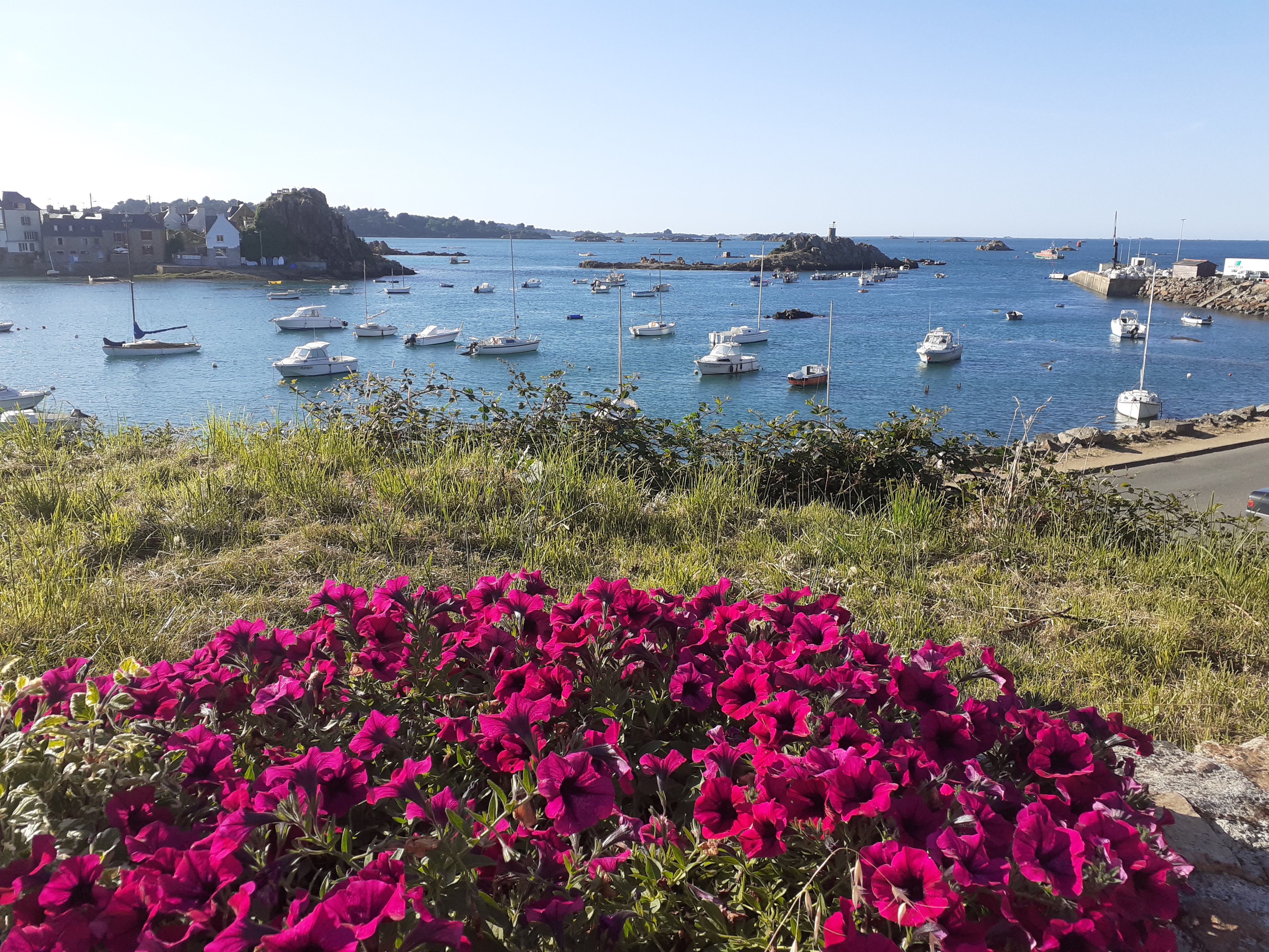 Photo n° 1 de l'avis de Amandine.e fait le 21/07/2020 à 18:38