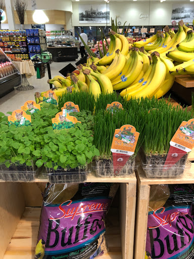 Gourmet Grocery Store «Eastside Marketplace», reviews and photos, 165 Pitman St, Providence, RI 02906, USA