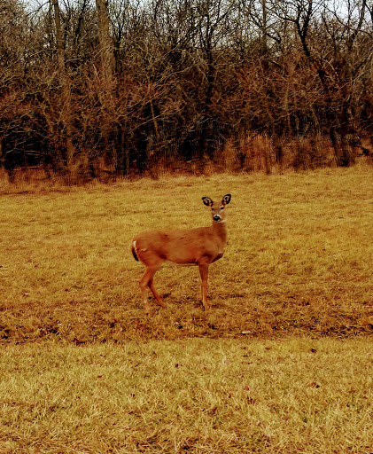 Park «Lake Erie Metropark», reviews and photos, 32481 W Jefferson Ave, Brownstown Charter Twp, MI 48173, USA