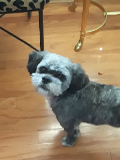 Pet Supply Store «Petco Animal Supplies», reviews and photos, 7625 Jolly Ln, Brooklyn Park, MN 55428, USA