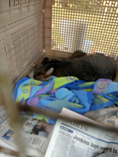 Ranch «Smith Family Ranch, LLC», reviews and photos, 13444 Moore Road, Lakeland, FL 33809, USA