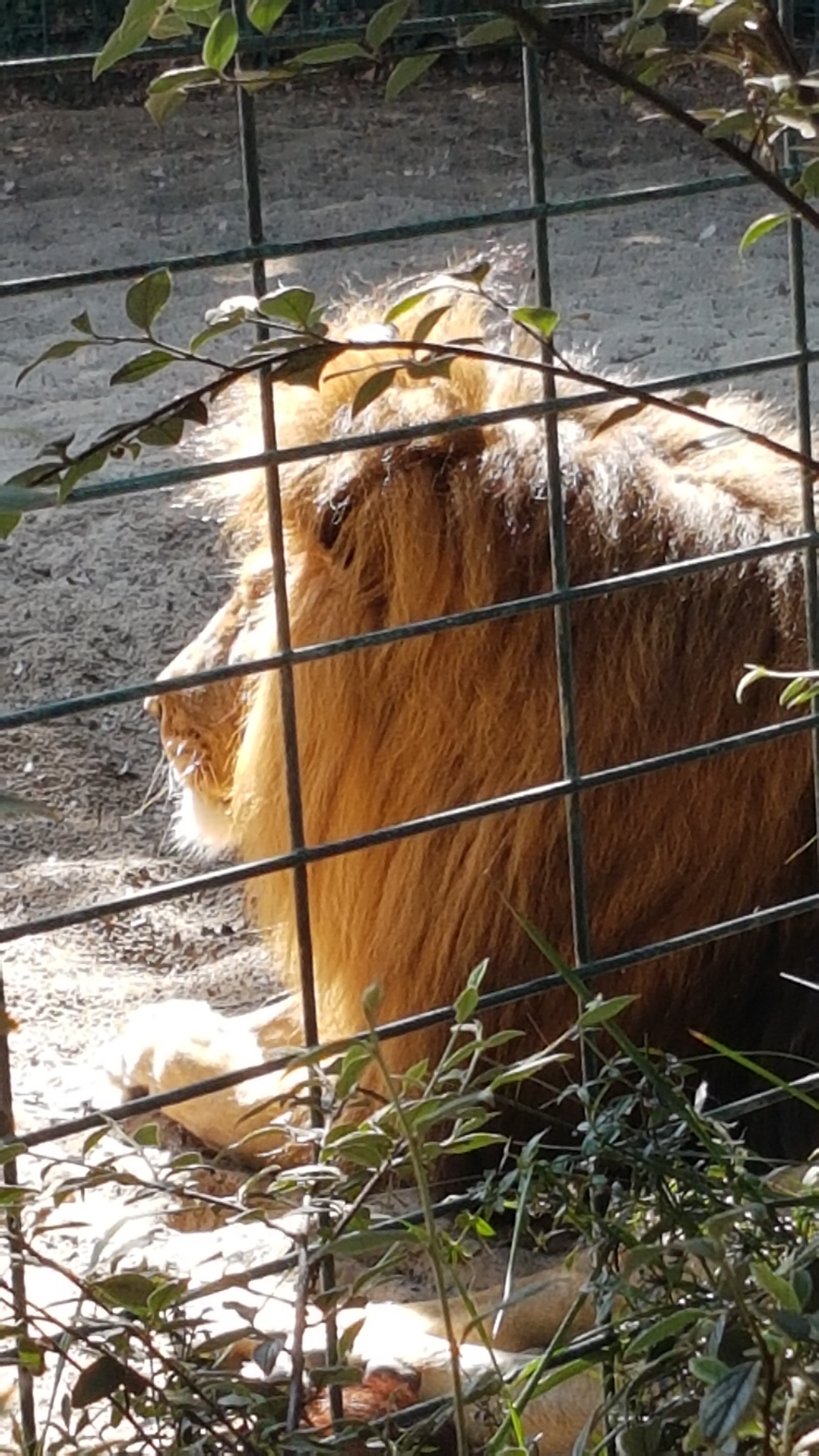 Photo n° 9 de l'avis de Claude.e fait le 18/09/2023 à 17:15
