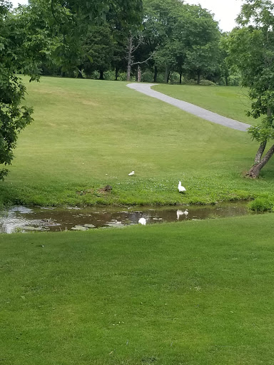 Golf Course «Arrowhead Golf Course», reviews and photos, 1539 Weavertown Rd, Douglassville, PA 19518, USA