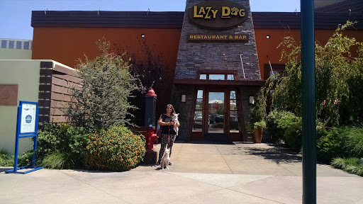 Lazy Dog Restaurant & Bar