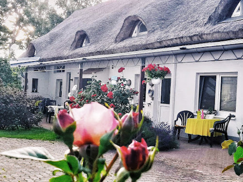 Reet Landhaus Rügen 18569 Ummanz