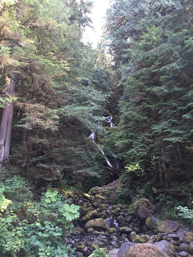 Outdoor Sports Store «The Local Hiker», reviews and photos, 173 E Main St, Spartanburg, SC 29306, USA