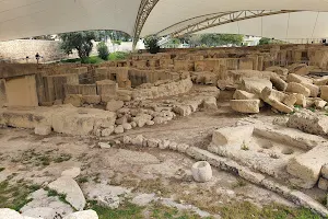 Tarxien Temples image