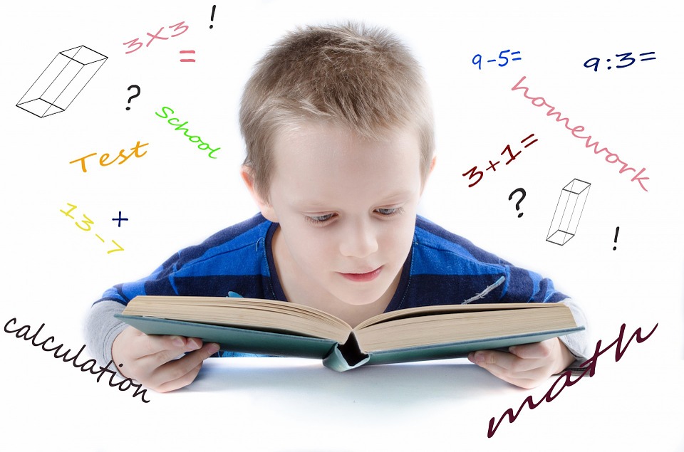 Learning Tank Math Tutoring Services