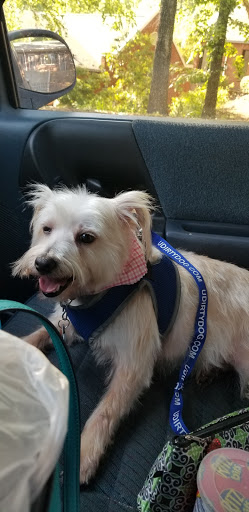 Pet Groomer «U Dirty Dog», reviews and photos, 232 Stevens Entry, Peachtree City, GA 30269, USA