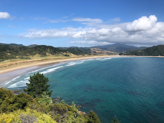 Waikawau Bay